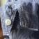 Vintage / Used / 50's Belgium / cook jacket
