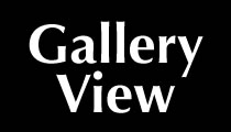 Gallery View